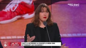 GG, set et match : Faut-il interdire la chasse le week-end et pendant les vacances ? - 18/02