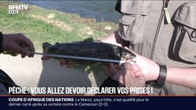 Une nouvelle règlementation européenne oblige les pêcheurs à déclarer leurs prises