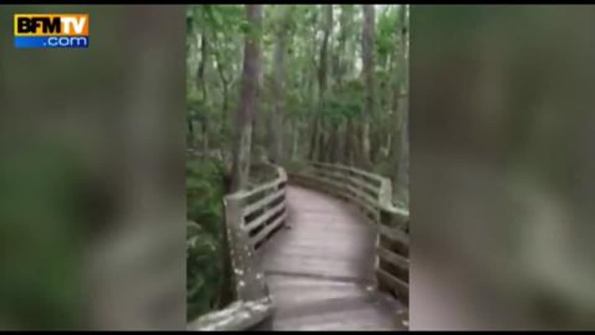 placeholder video