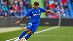 D. Suarez