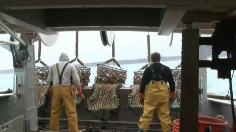 Flambée des prix des carburants: "Ce sont des mesurettes", dénoncent les pêcheurs après les annonces du gouvernement