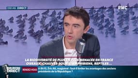 Biodiversité menacée: "Chaque année, on bétonne 6 fois la surface de Paris en France"