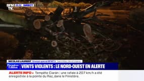 Tempête Ciaran: des chutes d'arbres déjà constatées à Saint-Malo