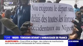 "C'est un signal envoyé à toutes les instances internationales": Hélène Conway-Mouret réagit aux manifestations devant l'ambassade de France au Niger