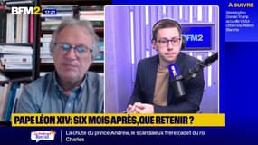 Pape Léon XIV, six mois après: une "attention" aux catholiques plus qu'aux "questions sociétales", selon François Mabille