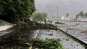 Une route bloquée par des branches d'arbre à Saint-Denis de La Réunion ce jeudi à cause du cyclone Batsirai