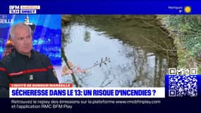 Bouches-du-Rhône: les pompiers estiment que "la sécheresse est très bien installée"