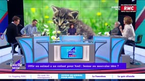 Estelle Midi sur RMC