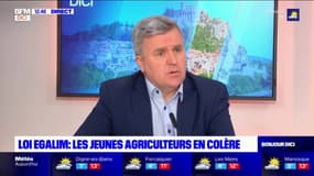 Colère des agriculteurs: le président de l'AMF des Hautes-Alpes assure "comprendre les revendications" des agriculteurs 