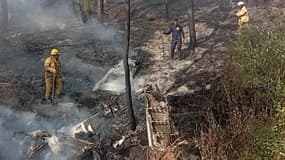 Cette photo publiée par la Protection civile de l’État de Jalisco montre des pompiers et du personnel de la protection civile travaillant sur le site où un avion Cessna 207 s’est écrasé à Santa Maria del Oro, dans l’État de Jalisco, au Mexique, le 22 décembre 2024.