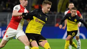 Marco Reus