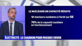 Electricité: le charbon pour passer l'hiver - 06/01