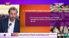 On n'a pas osé vous en parler : Les découvertes scientifiques les plus absurdes - 18/09