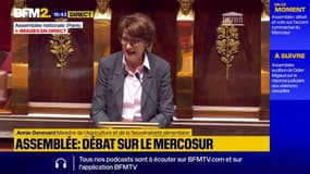 Débat sur le Mercosur: l'agriculture ne doit pas devenir "une variable d'ajustement", affirme A. Genevard