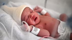 Un nouveau-né dans une couveuse peu après sa naissance dans une maternité parisienne le 29 juin 2022 (photo d'illustration)