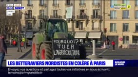 Les betteraviers nordistes dans le cortège parisien