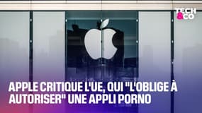 Apple critique l'Union européenne, qui "l'oblige à autoriser" une appli pornographique