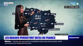 Météo Paris-Ile de France du 1er février: Un temps maussade et humide