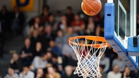 Basket (illustration)