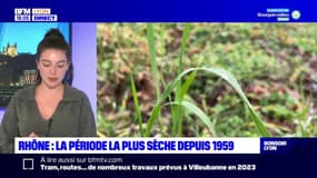 Rhône : janvier et février 2023 sont les plus secs depuis 1959