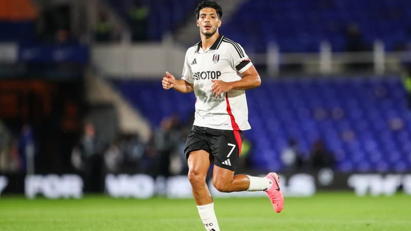 Raul Jimenez - Fulham