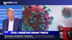 Story 4 : Covid, l'inquiétant variant "Pirola" - 02/09