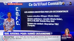 Quel est l'arsenal de l'armée ukrainienne?