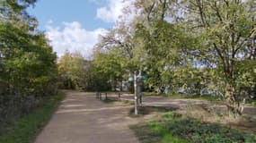 Le parc de la Feyssine, à Villeurbanne.