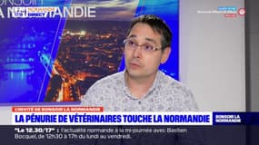 Normandie: comment inciter les étudiants à devenir vétérinaire? 