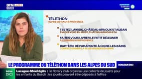 Alpes du Sud: le programme du Téléthon