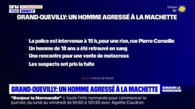 Grand-Quevilly: un homme agressé à la machette lors d'un rendez-vous pour vendre sa moto