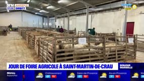 Bouches-du-Rhône: jour de foire agricole à Saint-Martin-de-Crau