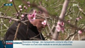 Vague de froid: des ravages sur la faune et la flore