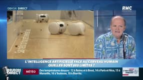 "Il n'y a aucune chance que l'intelligence artificielle nous dépasse" 