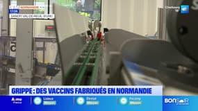 Normandie: au cœur d'une usine de production de vaccins contre la grippe