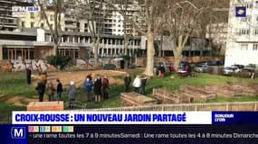 Lyon: un jardin partagé installé à la Croix-Rousse