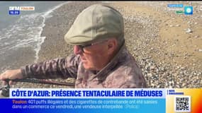 JT du Sud du mardi 1er avril