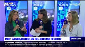 C votre emploi du mercredi 1er mars 2023 - L'agriculture, un secteur qui recrute