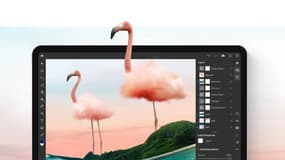 Adobe Creative Cloud passe à 47,99 euros/mois au lieu de 59,99 euros/mois pour un abonnement annuel.