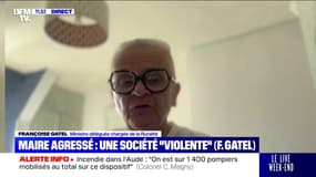 Agression d'un maire en Isère: "C'est une société toute entière qui a basculé dans la violence", réagit la ministre déléguée chargée de la Ruralité