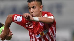 Amine Bassi