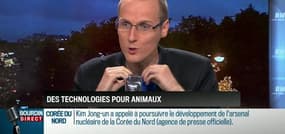 La chronique d'Anthony Morel: La high-tech pour nos animaux de compagnie – 06/09