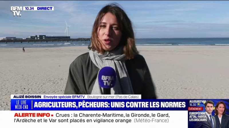 Boulogne-sur-Mer: agriculteurs et pêcheurs vont manifester ensemble contre les normes européennes