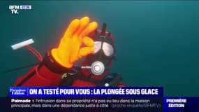 Dans une eau à 2°C, on a testé pour vous... la plongée sous glace