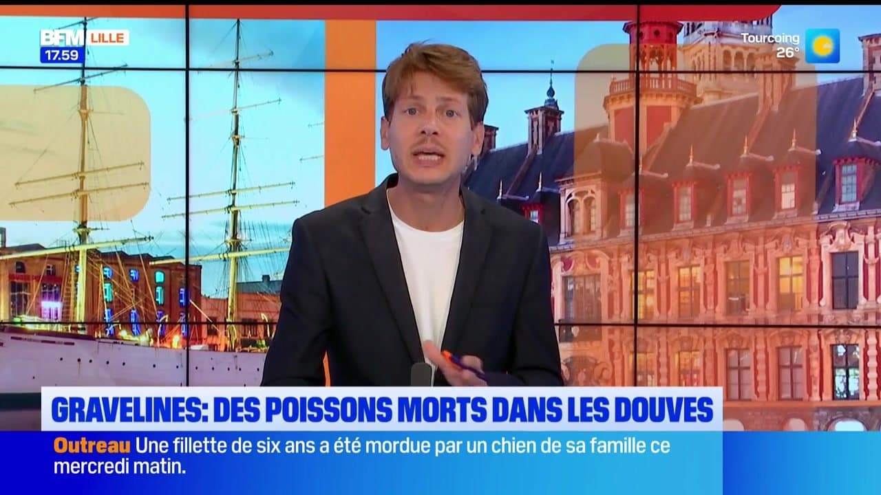 Bonsoir Lille du vendredi 24 juillet 2026