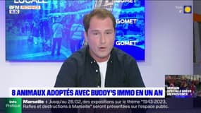 Planète Locale du lundi 30 janvier - Adoption d'animaux : Buddy's immo s'engage