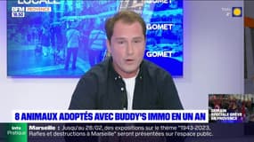 Planète Locale du lundi 30 janvier - Adoption d'animaux : Buddy's immo s'engage 