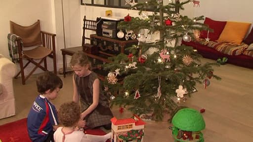 Le sapin de Noël attrape toutes sortes d'insectes. Plus de 2500 selon une étude norvégienne