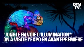 "Jungle en voie d’illumination" : découvrez en avant-première l’exposition  