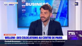 Île-de-France Business: Wellow, des colocations au centre de Paris - 02/01